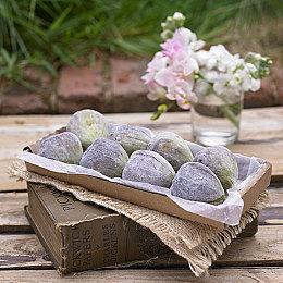 《太鼓达人 鼓咚大师！》发售宣传片 首发加入XGP